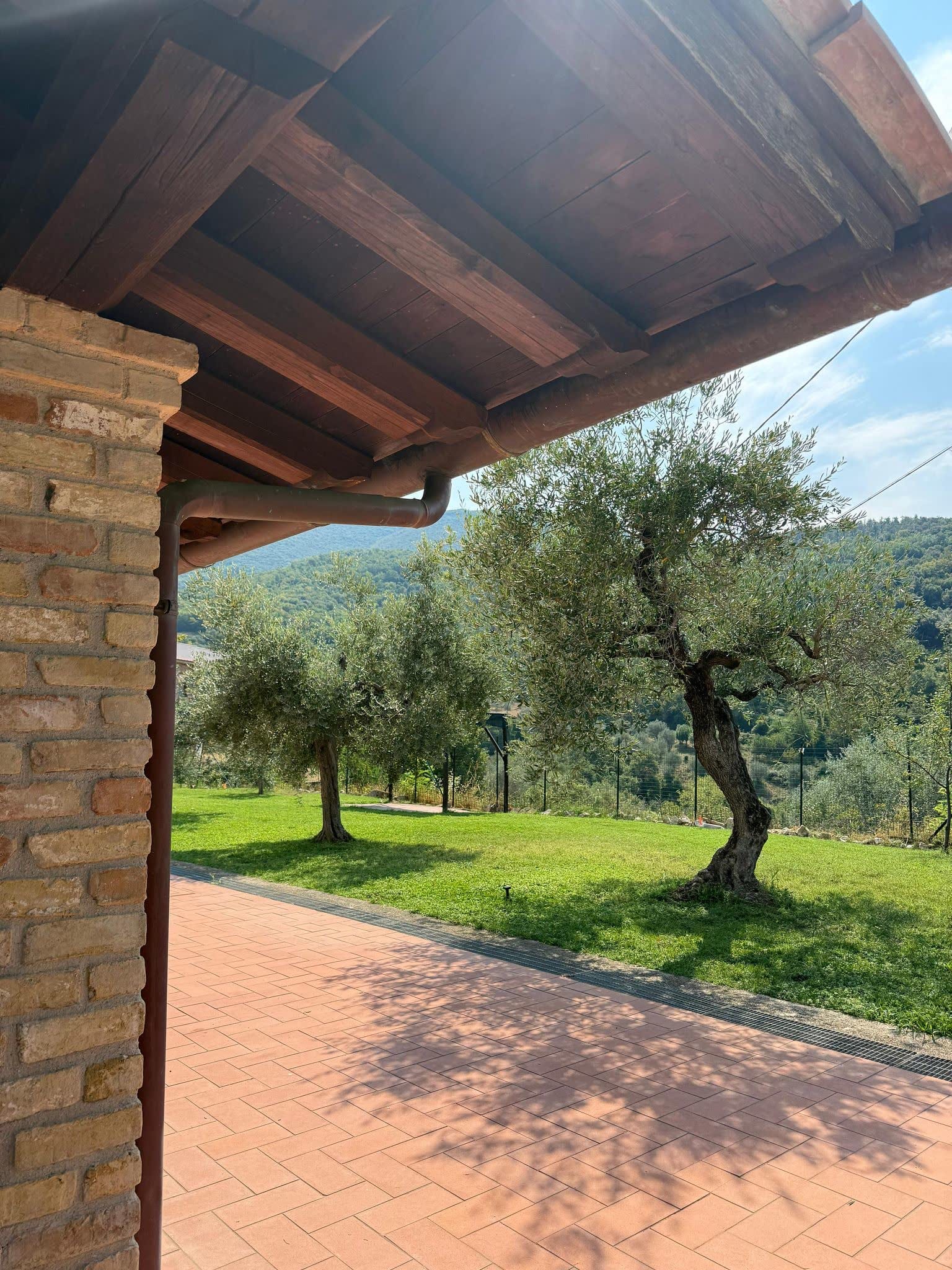 The portico with its timber-beam roof, looking out over the olive grove and the hills